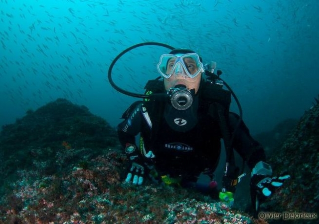 S emerveiller a Hendaye.jpg